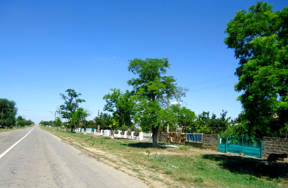 NivaRaz 11