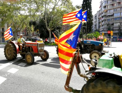 Nl Barcelona Catalan National Day 2018 Demonstration 04