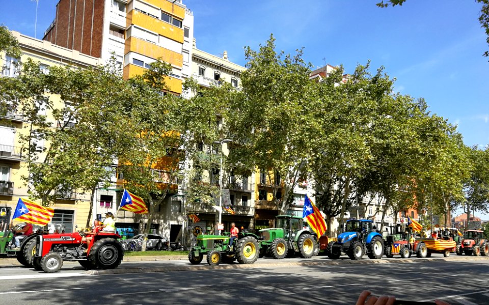 Nl Barcelona Catalan National Day 2018 Demonstration 02