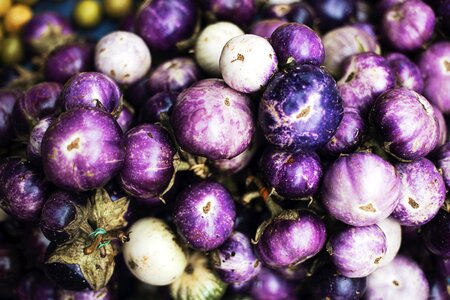 Food leaf purple