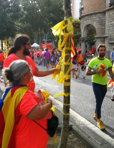Nl Barcelona Catalan National Day 2018 Demonstration 32