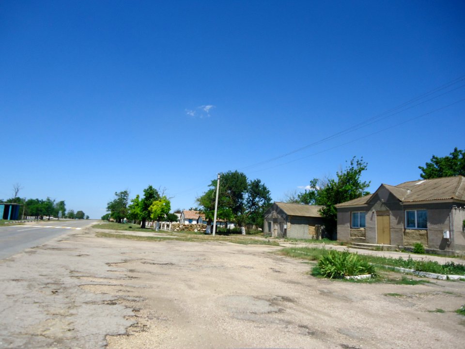 NivaRaz 21