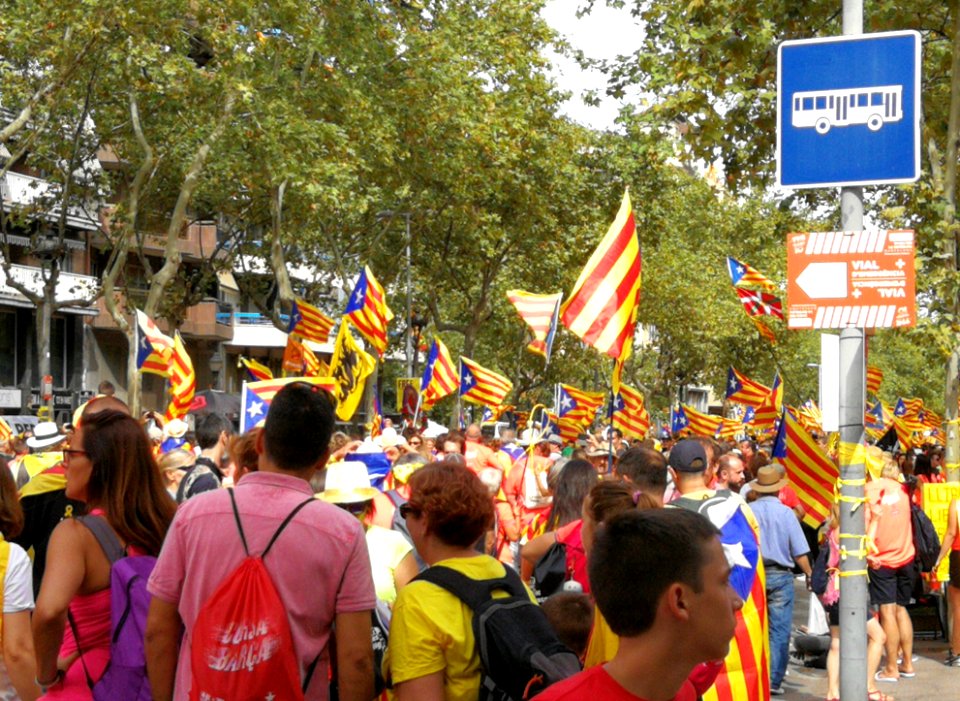 Nl Barcelona Catalan National Day 2018 Demonstration 31