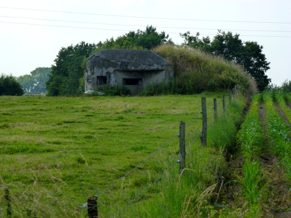 Nivelle (Nord, Fr) casemate D268