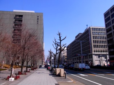 Nishiki-dori 110222