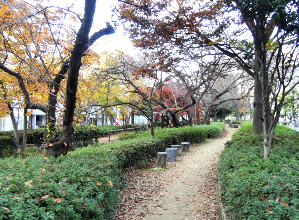 Nishi-gawa Greenway Canal - Okayama City, Japan - DSC01403