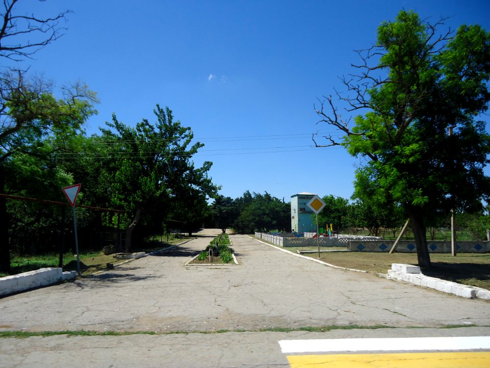 NivaRaz 17