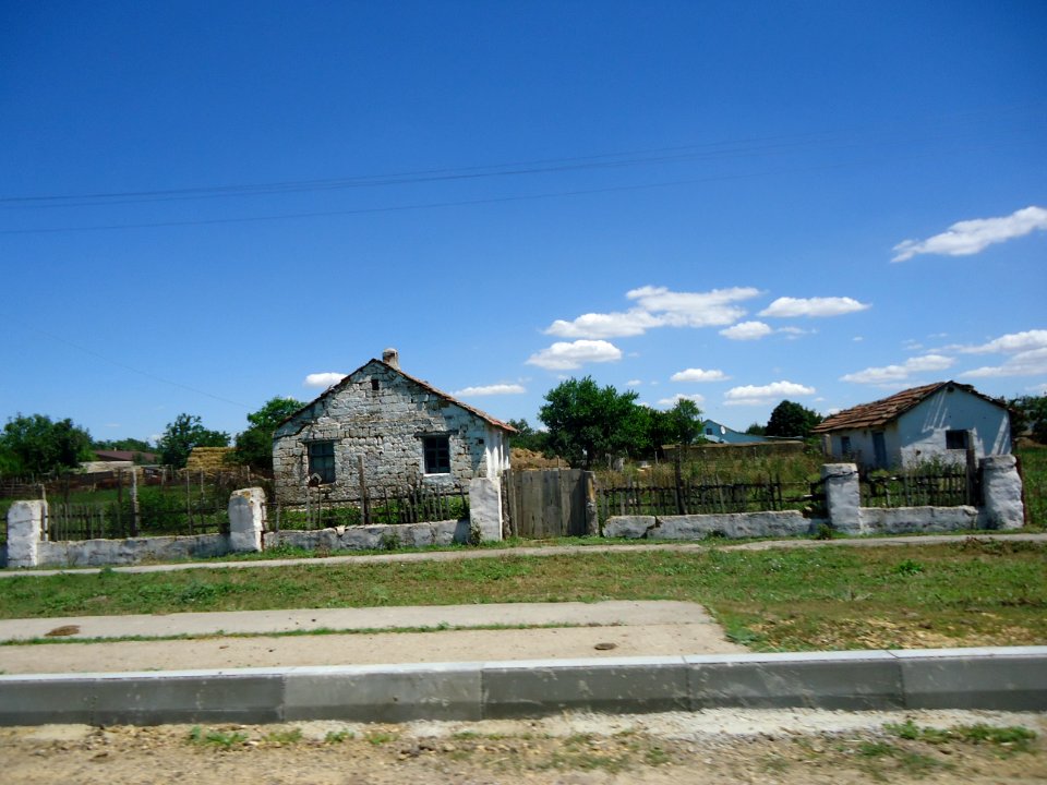 NivaRaz 22