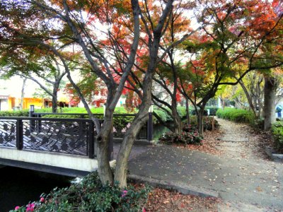 Nishi-gawa Greenway Canal - Okayama City, Japan - DSC01424