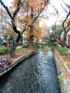 Nishi-gawa Greenway Canal - Okayama City, Japan - DSC01397