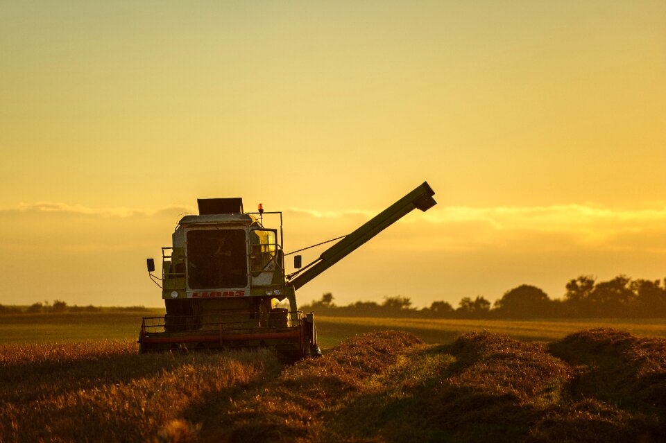 Field autumn combain