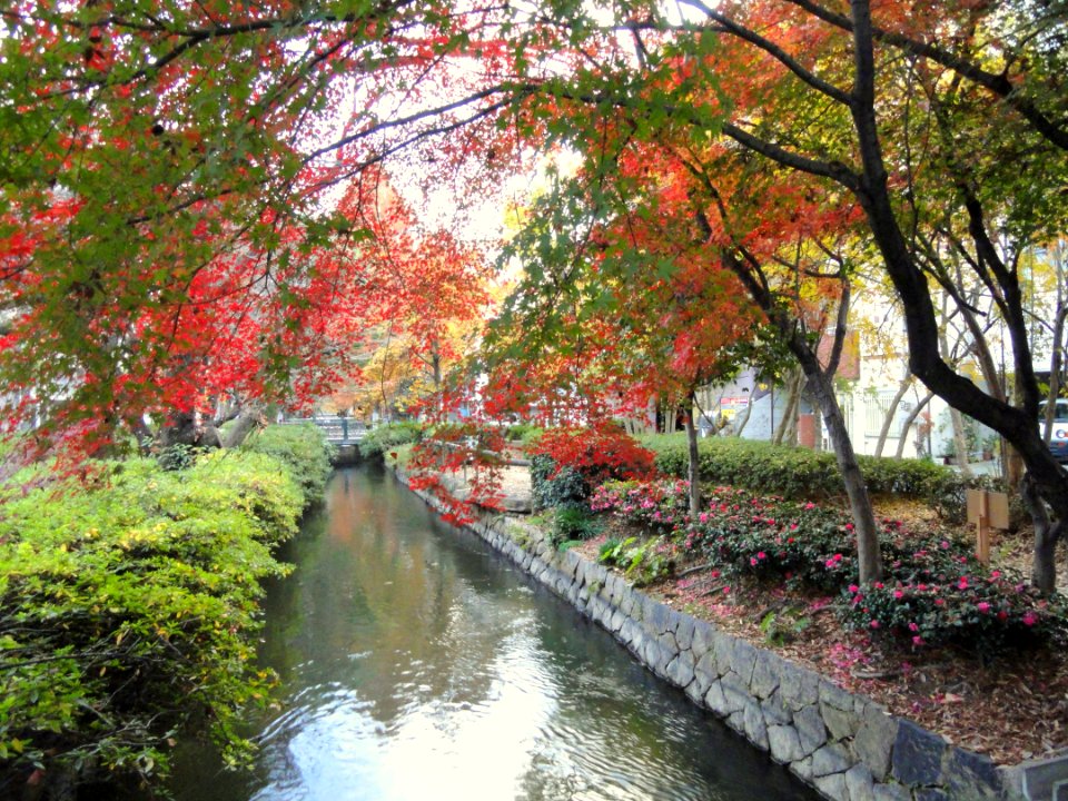 Nishi-gawa Greenway Canal - Okayama City, Japan - DSC01405