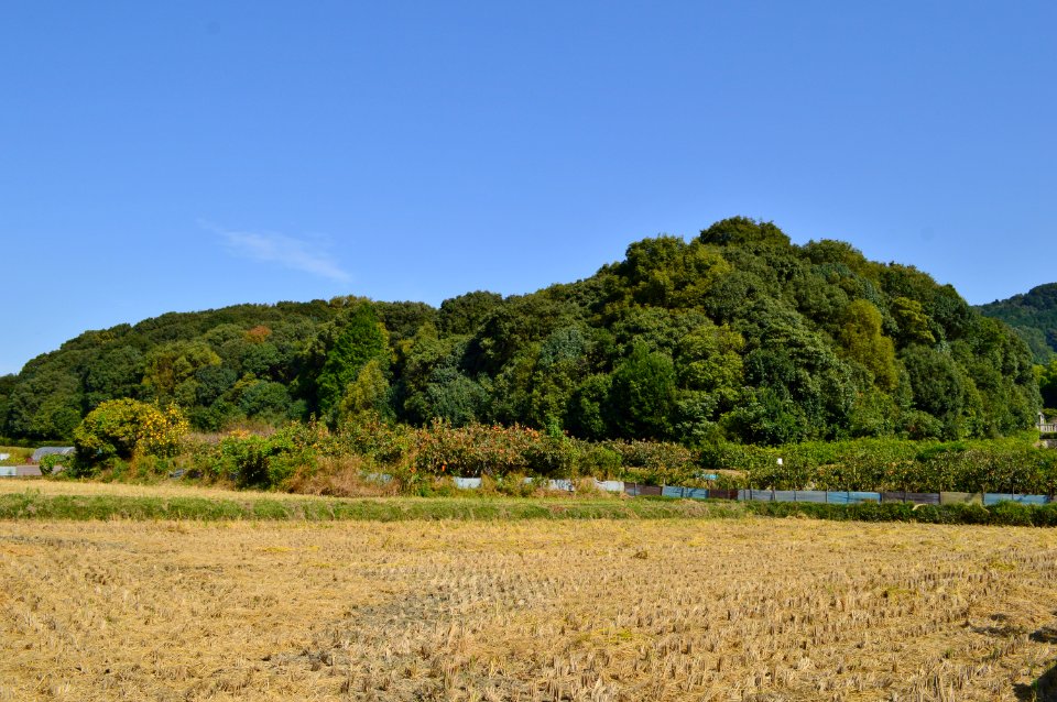 Nishitonotsuka Kofun, zenkei