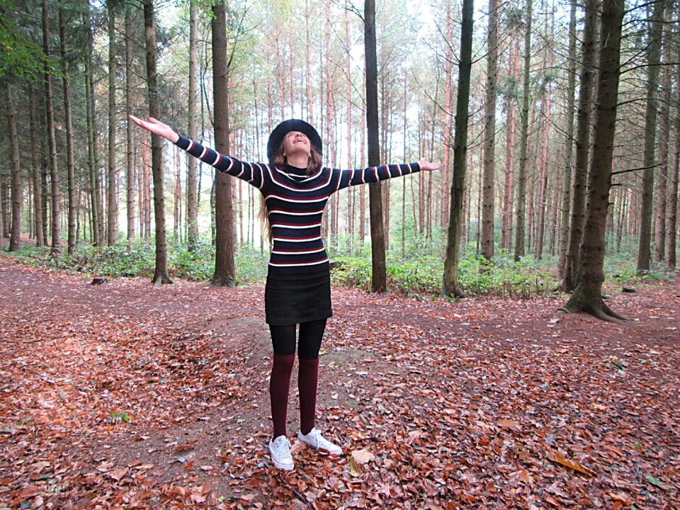 Spontaneous forest autumn