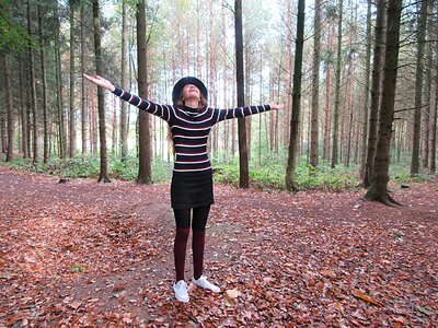 Spontaneous forest autumn