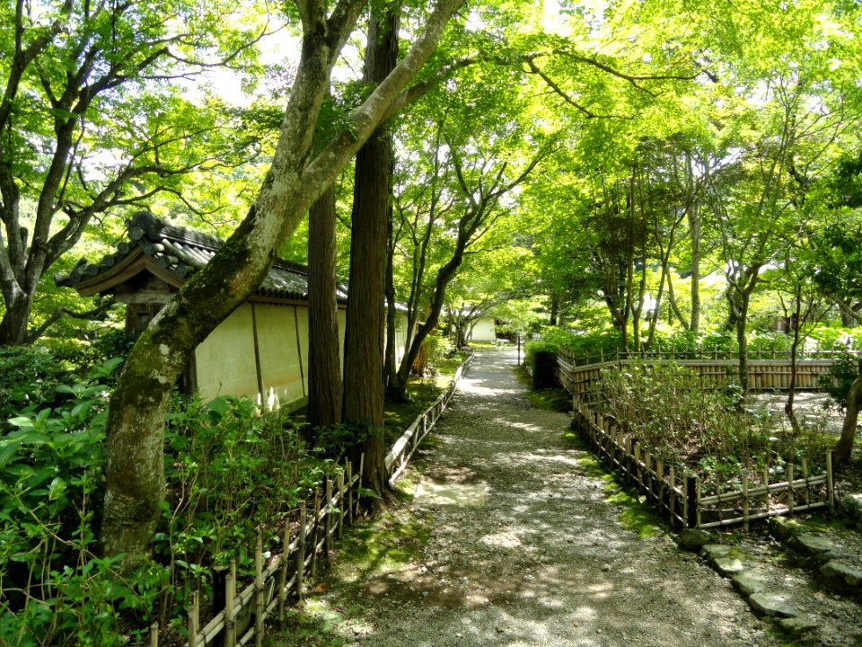 Nisonin - Kyoto - DSC06219