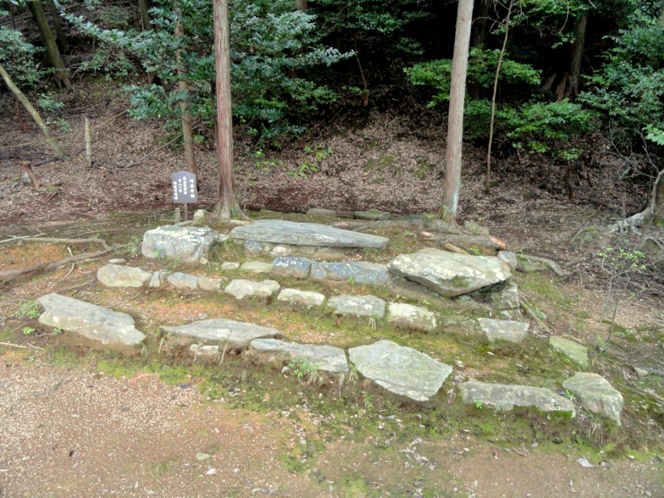 Nisonin - Kyoto - DSC06235