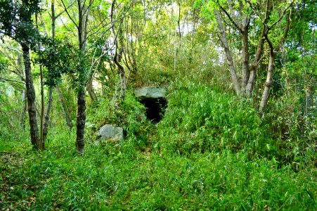 Nishiyama Kita Kofun, entrance
