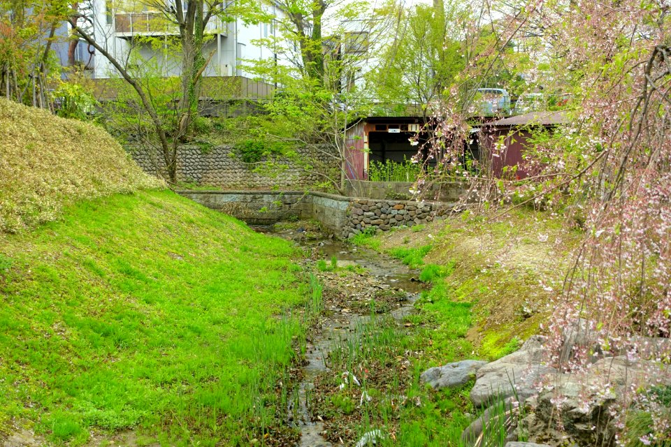 Nishi-Uchi Sougamae Bori Moat - Kazuemachi - Kanazawa, Japan - DSC00035