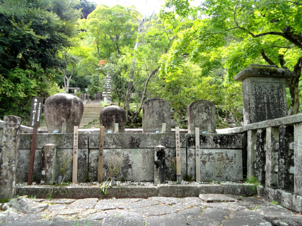 Nisonin - Kyoto - DSC06240
