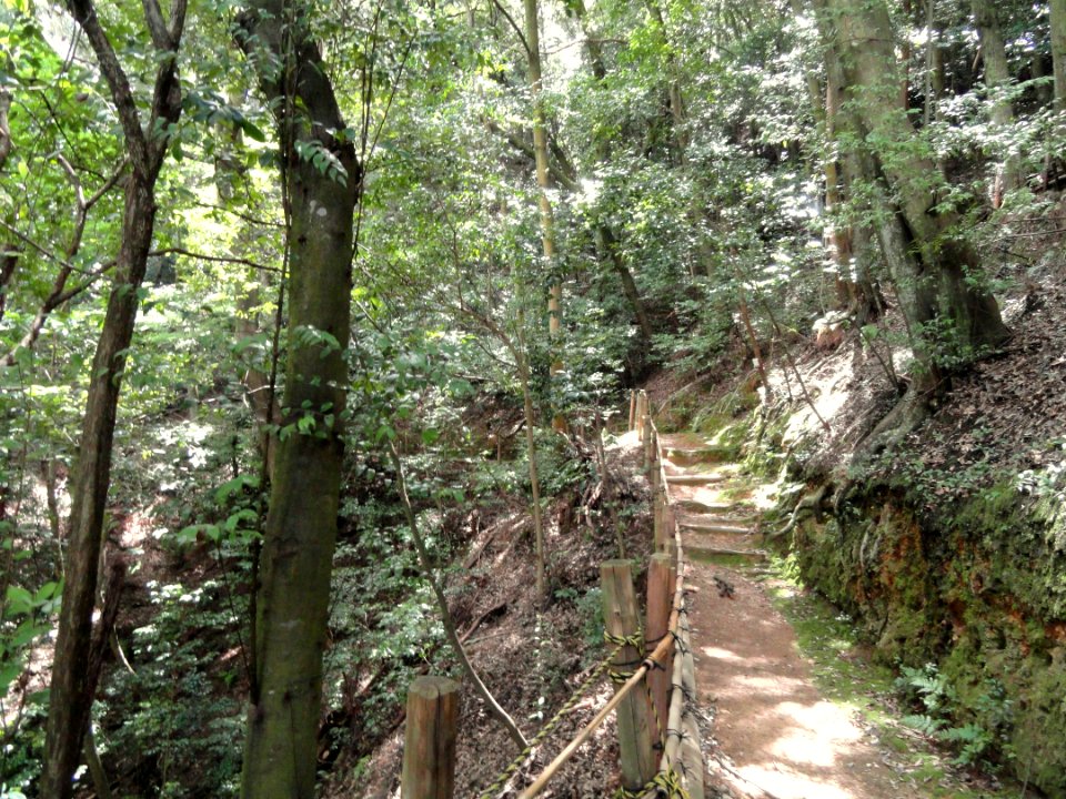 Nisonin - Kyoto - DSC06234