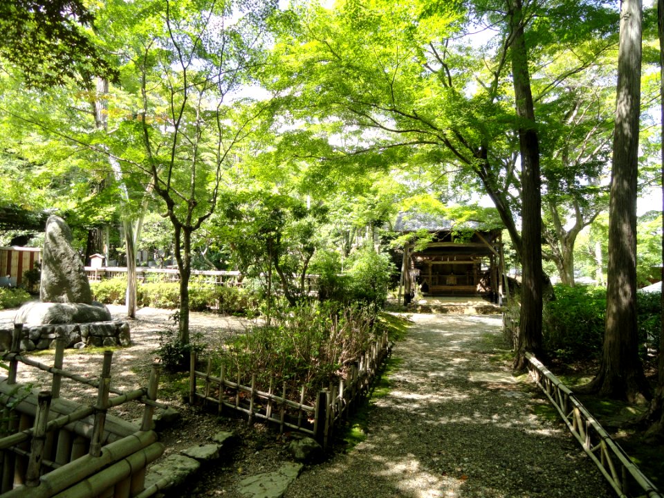Nisonin - Kyoto - DSC06221