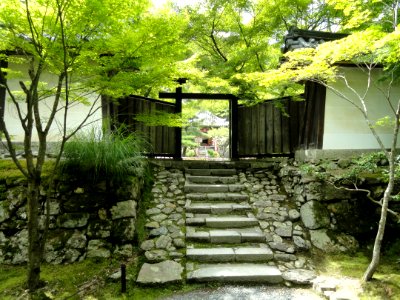 Nisonin - Kyoto - DSC06259