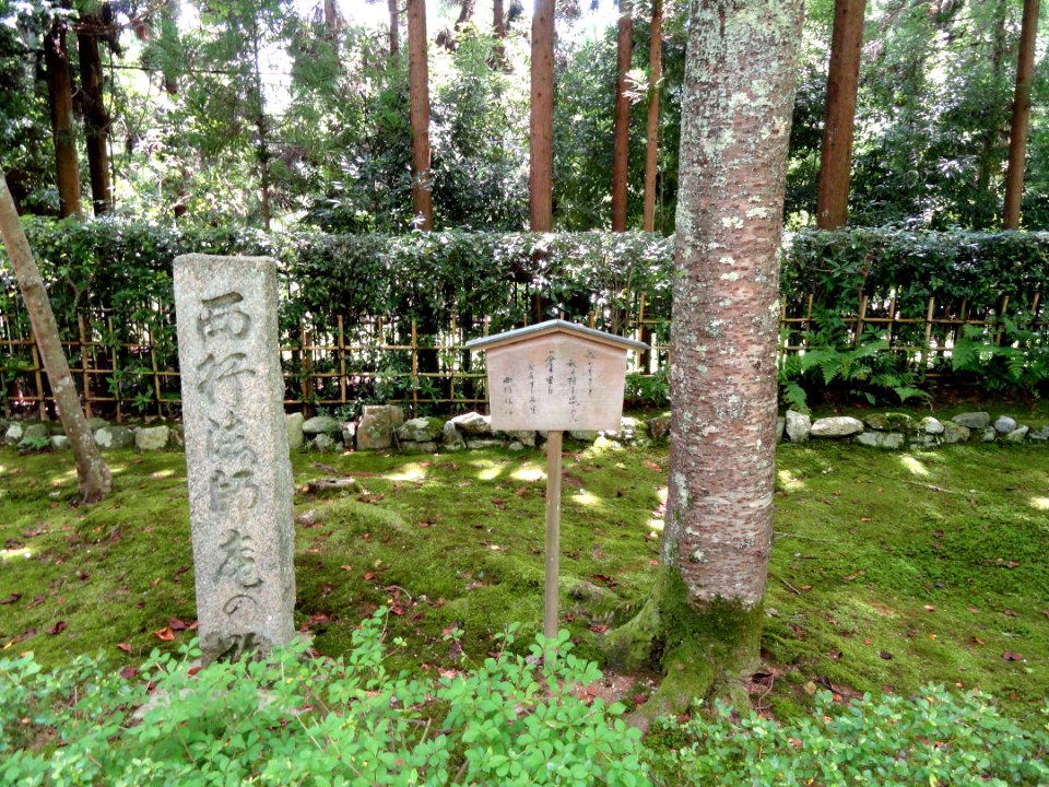 Nisonin - Kyoto - DSC06210