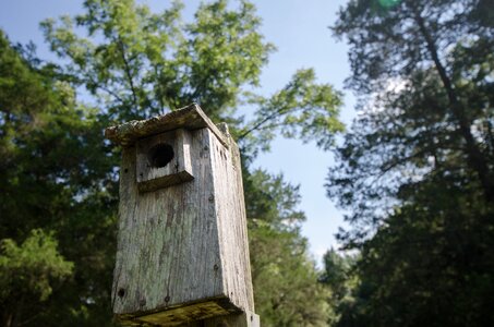 Wood box birdbox