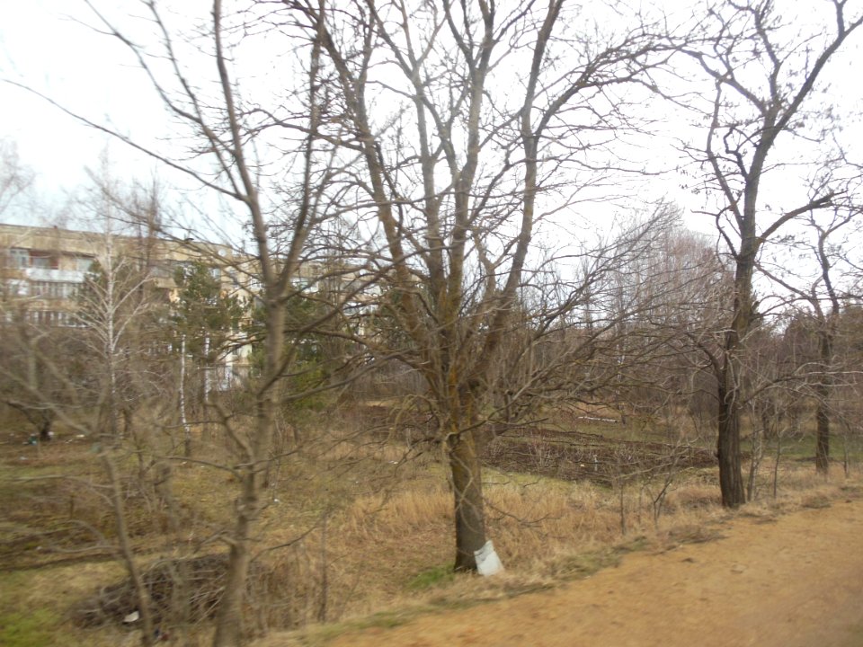 NoviySadCr 10