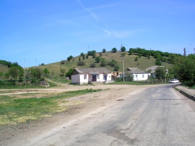 Novopolye 4