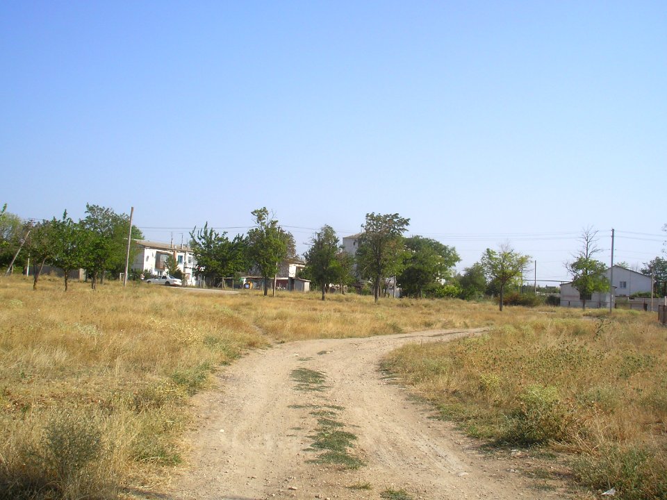 NovosyolovkaSim 8