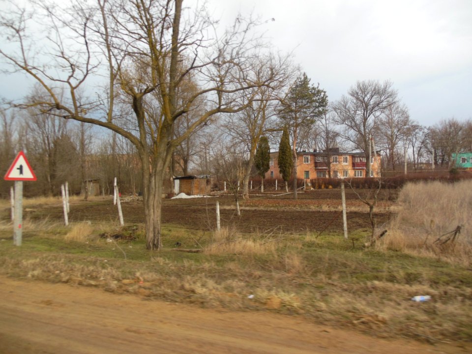 NoviySadCr 8