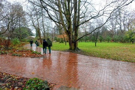 November rain - Flora park - Cologne, Germany - DSC00800