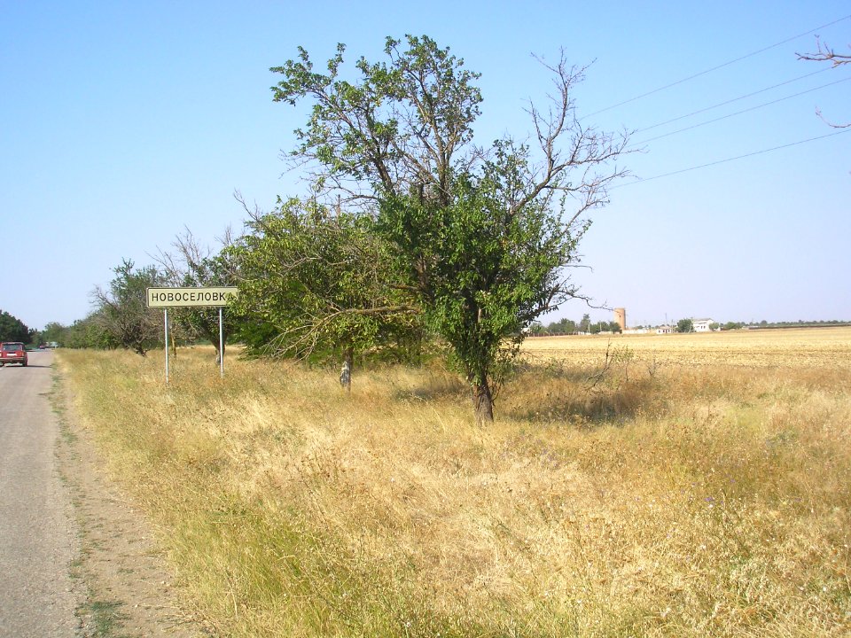 NovosyolovkaSim 1