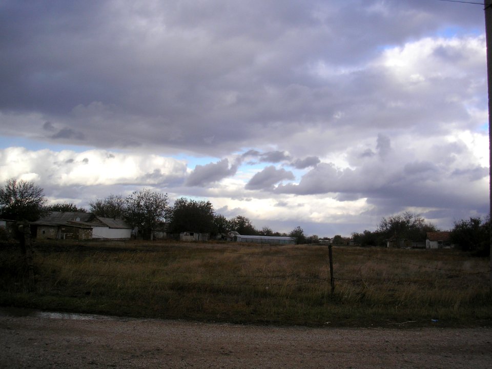 NovoalekseevkaCr 5