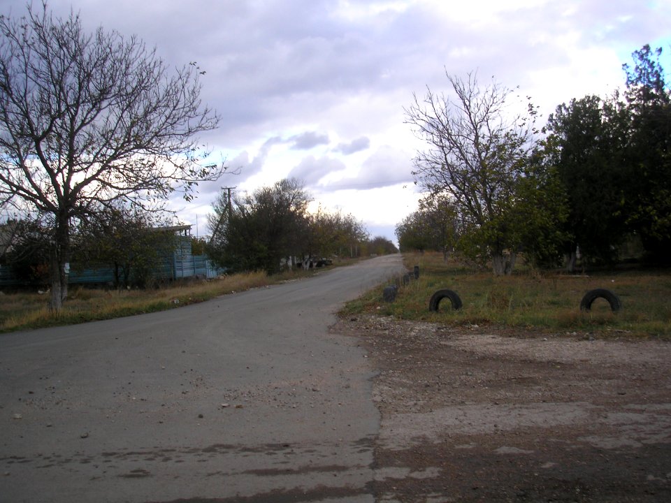 NovoalekseevkaCr 3