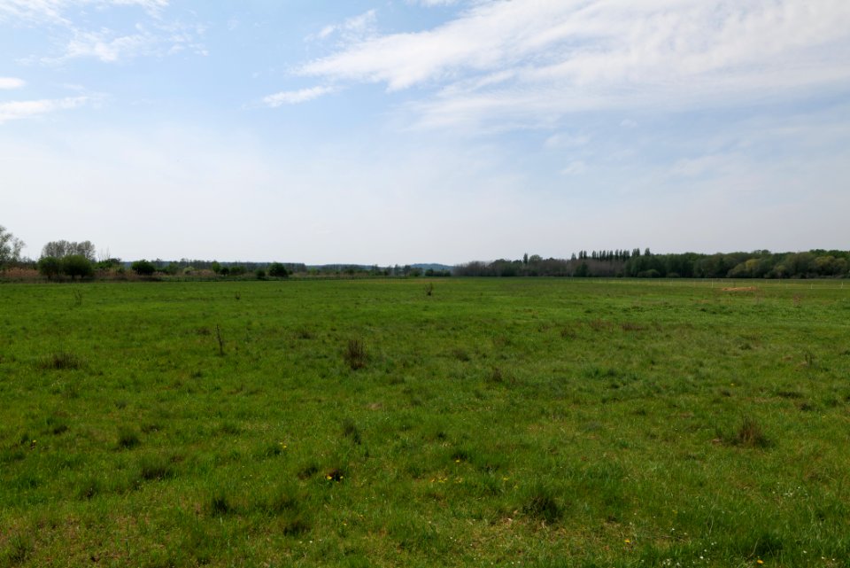 Notte-Niederung 2021-05-11 90
