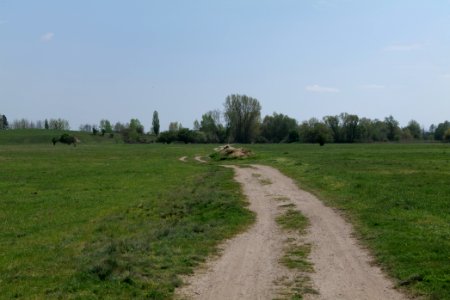 Notte-Niederung 2021-05-11 85
