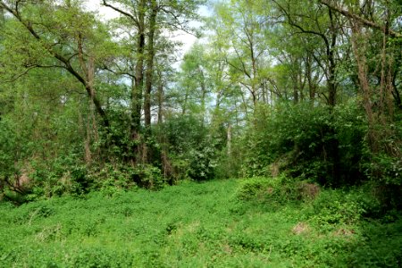 Notte-Niederung 2021-05-11 78