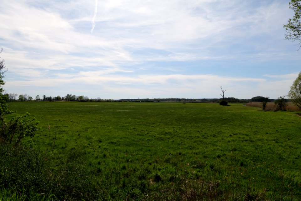 Notte-Niederung 2021-05-09 90