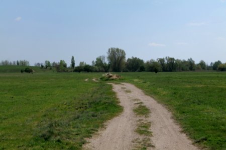 Notte-Niederung 2021-05-11 86