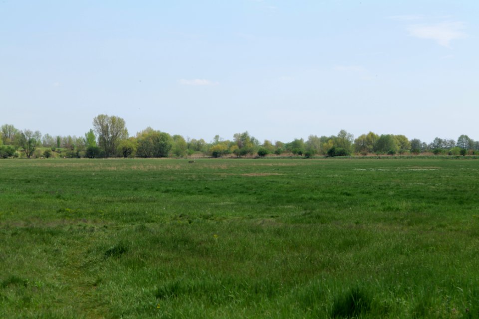 Notte-Niederung 2021-05-11 81