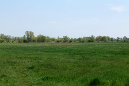 Notte-Niederung 2021-05-11 81