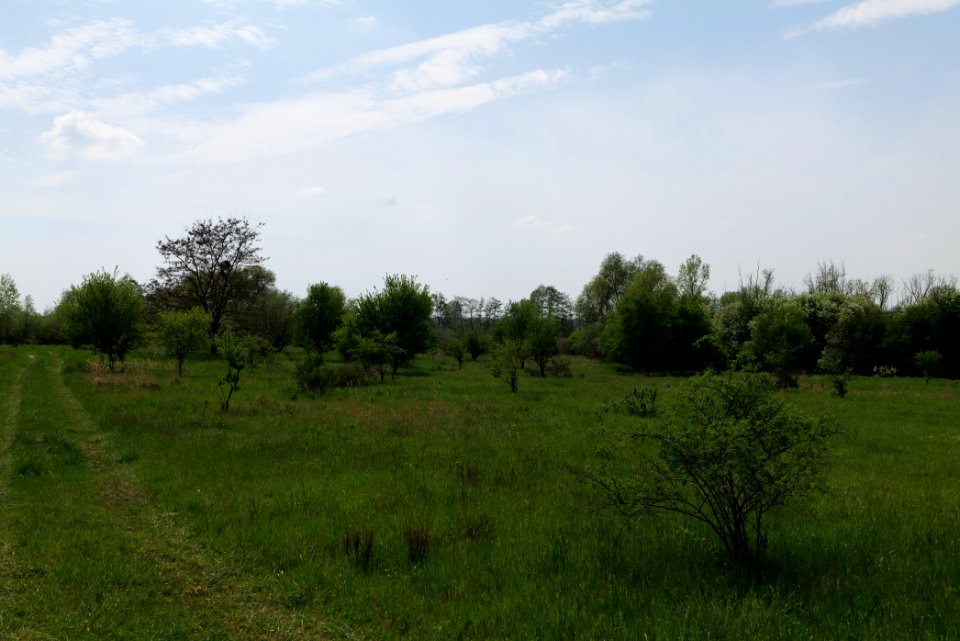 Notte-Niederung 2021-05-11 104