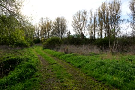 Notte-Niederung 2021-05-09 91