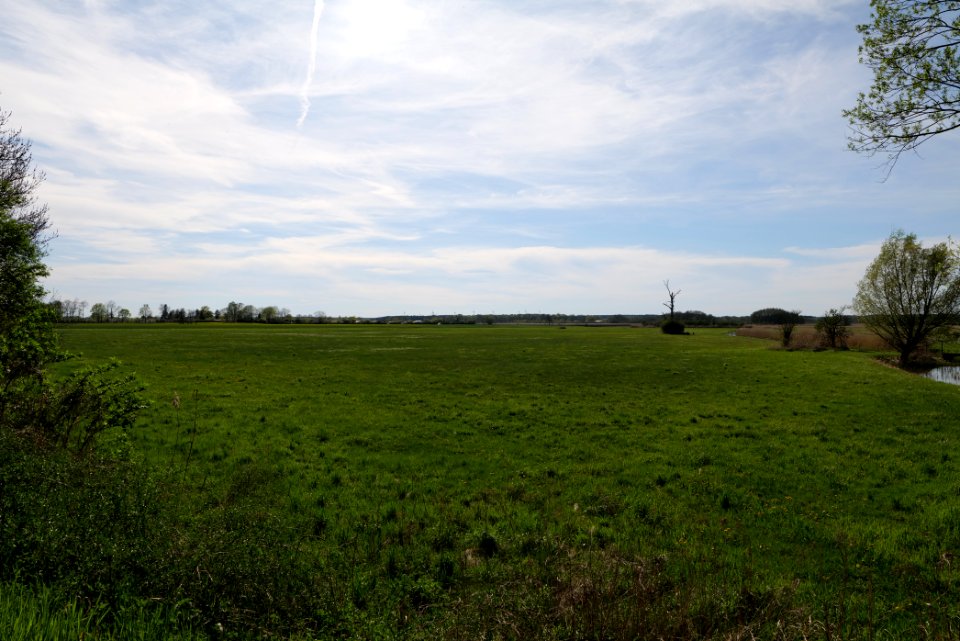Notte-Niederung 2021-05-09 89