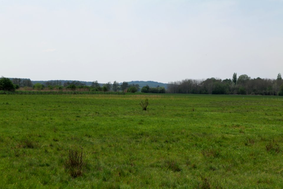 Notte-Niederung 2021-05-11 91