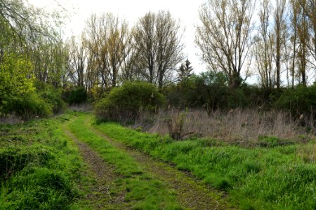 Notte-Niederung 2021-05-09 93