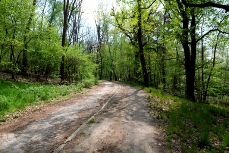Notte-Niederung 2021-05-11 01